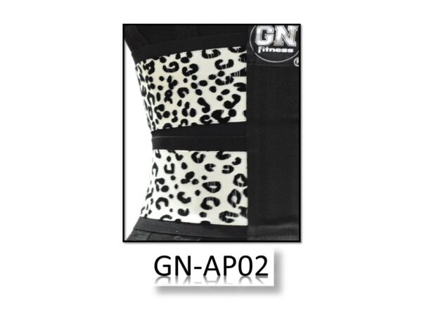 GN-AP02