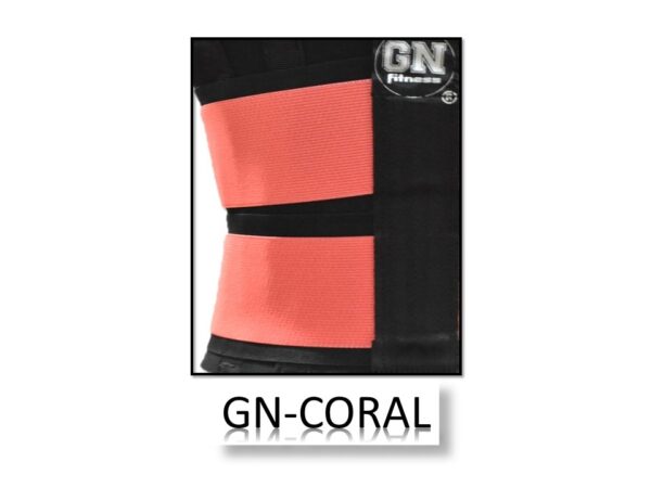 GN-CORAL