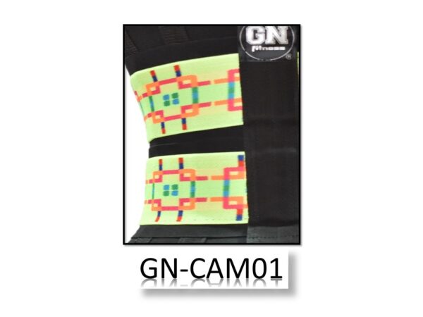 GN-CAM01