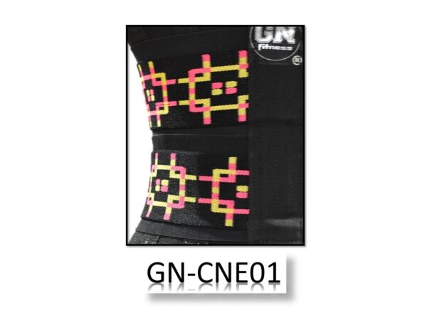 GN-CNE01