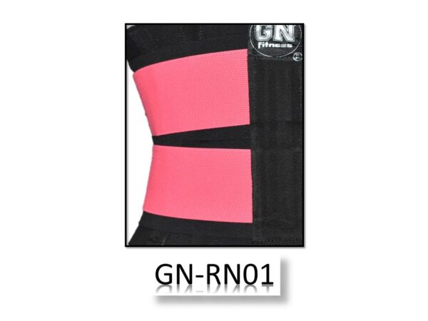 GN-RN01