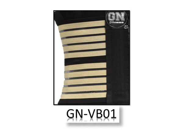 GN-VB01