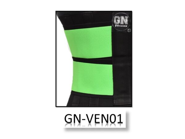 GN-VEN01