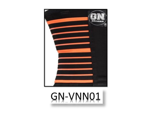 GN-VNN01